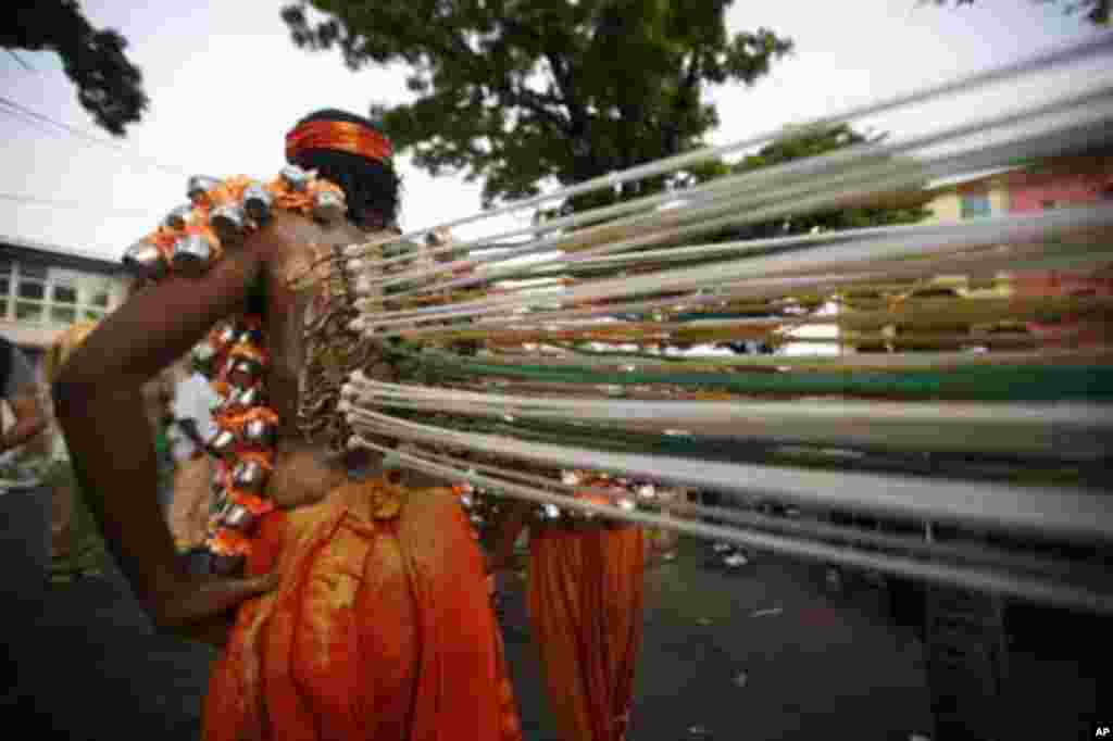 A Malaysian Hindu devotee walks with his back pierced with hooks attached to ropes during the Thaipusam festival in Georgetown February 7, 2012.