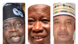 Daga dama, Tinubu, Ganduje da Nastura (Instagram)