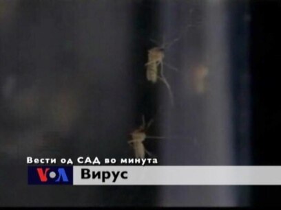 Вести од САД во минута 16-ти август
