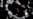 Astronomers Capture Image of Newborn Planet
