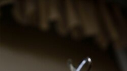 Avance Informativo - 1:00pm