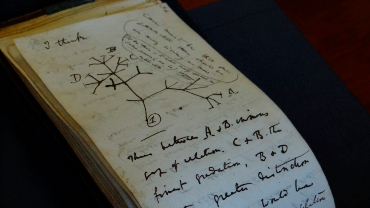Charles Darwin's Notebooks Returned to Cambridge University after 20 Years - Vimarsana News