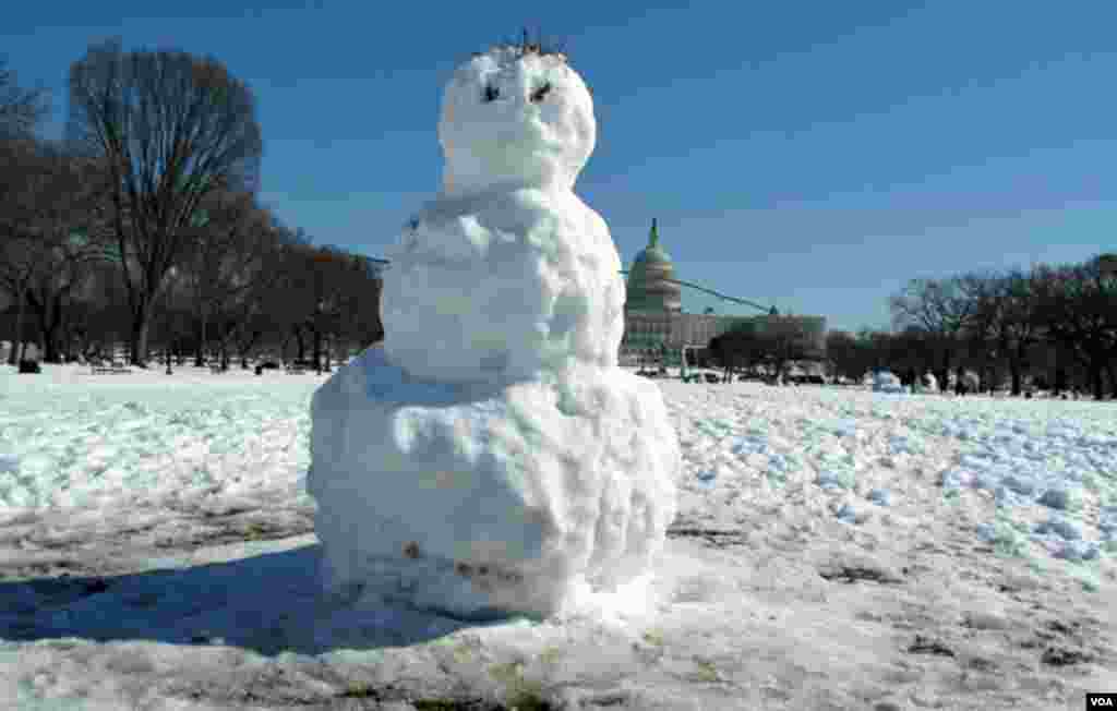 华盛顿国会山前的雪景