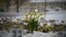 Candles and flowers are placed in the snow in front of the Viertola School to pay tribute to victims in Vantaa, in the north of the Finnish capital, Helsinki, on April 3, 2024. The day before, a 12-year-old allegedly opened fire inside the school, killing a classmate.