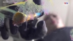 Մարդանման Sophia ռոբոտի արվեստի աշխատանքները կվաճառվեն ցուցահանդես աճուրդում