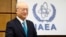 国际原子能机构总干事天野之弥