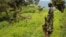 A soldier with M23 keeps watch on the valley below the hill of Kavumu in North Kivu, eastern Democratic Republic of the Congo, June 3, 2012.