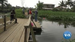 Cameroon NGO Struggles to Protect Waters from Invasive Plants