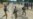 Cease-Fire Monitors to Deploy in South Sudan