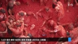 150톤 토마토 붉은 대폭발! 스페인 '라 토마티나' 현장 