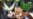 16x9 Image