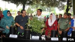 Menteri Pertanian Andi Amran Sulaiman (tengah), Gubernur Jawa Timur Soekarwo (kedua dari kiri) dan Yenny Wahid (kedua dari kanan) dalam acara pembagian bibit tanaman cabai di Surabaya (26/1). (VOA/Petrus Riski)