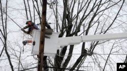 Снегот претежок за гранките: поправка на оштетената електрична мрежа во Таусон, сојузната држава Мериленд