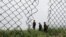 HK URBEX members are seen through a hole in the fence at an abandoned British army barracks in Hong Kong, China, June 1, 2017. 