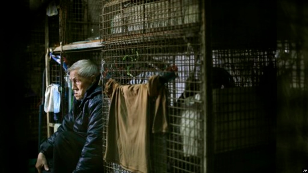 Rumah bagi warga Hong Kong Yeung Ying Biu, 77, adalah kandang besi berukuran 1,5 meter persegi. (AP/Vincent Yu)