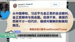 VOA连线(尼亚):川普称需对朝鲜施压,白宫持谨慎乐观态度