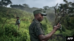 Ba rangers moko na parc ya Kahuzi-Biega na Sud-Kivu, 30 septembre 2019.