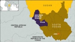 South Sudan State Suspends Government Operations Over COVID-19 [04:18]