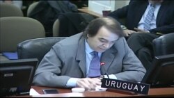 OEA evalúa crisis en Nicaragua