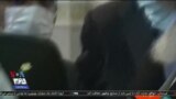 اخبار شامگاهی