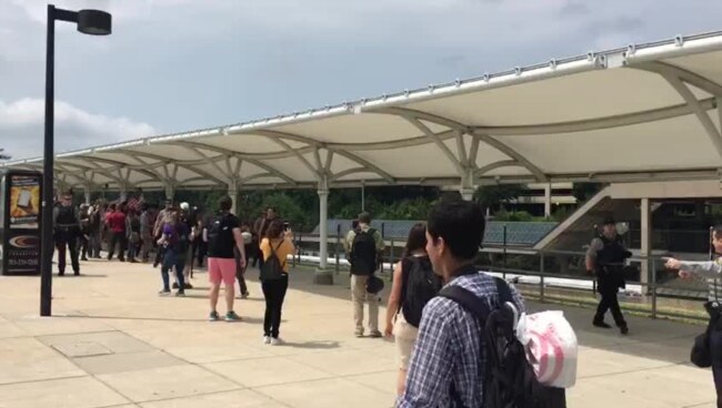 Supremacistas blancos llegan a Washington para protesta