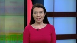 美国观察节目介绍