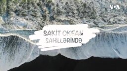 Sakit okean sahillərində