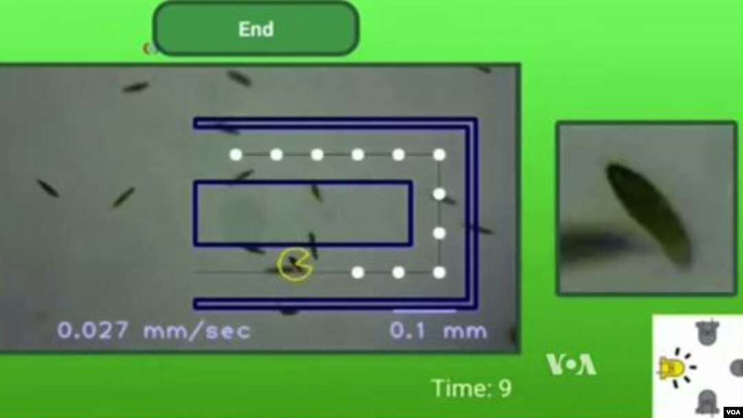 Anak-anak bermain Pac-Man dengan Mikroba