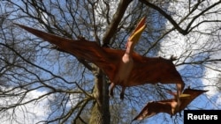 Animatronic life-size pterosaurs are seen ahead of an interactive exhibition, Jurassic Kingdom, at Osterley Park in west London, Britain, March 31, 2017.