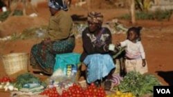Local Government Minister Ignatius Chombo recently ordered councils to remove streets vendors.