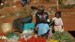 ZimPlus: Chombo Says Army Will Evict Vendors in Cities, Monday, June 1, 2015