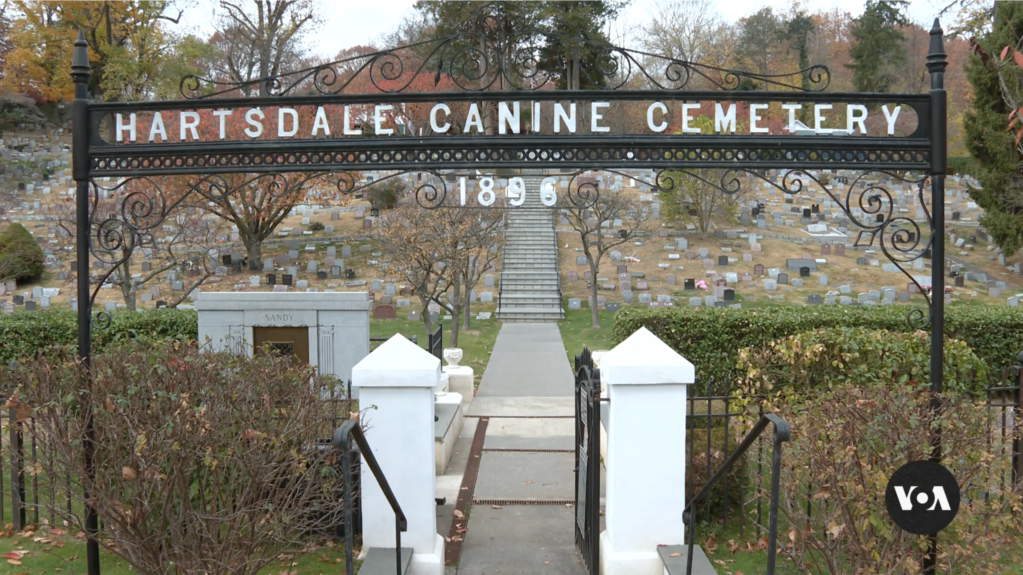 Oldest Pet Burial Ground in America Is Final Resting Place for Thousands