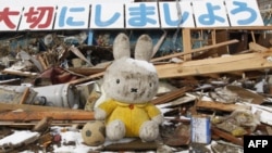 Устоит ли японская экономика под ударами природных и техногенных катастроф?