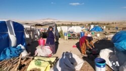 Jîyana Dijwar ya Karkerên Demsal î li Tirkîyê