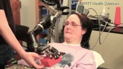 Tiny 'Neural Dust' Sensors Could Keep an Eye on the Brain