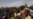Hunger in Central Sahel Rising at Alarming Rate as Conflict Intensifies
