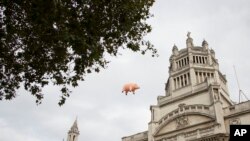 An inflatable flying pig flies above the Victoria & Albert museum in west London, Aug. 31, 2016. Inflatable flying pigs were one of the staple props of the Pink Floyd's live shows.