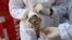 Volunteers wearing Personal Protective Equipment (PPE) as a precaution against the spread of bird flu treat an injured rescued bird at a temporary shelter in Ahmedabad, India, on Jan. 13, 2021.