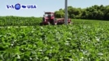 VOA60 America - Trump Administration to Offer Multibillion-Dollar Bailout for US Farmers