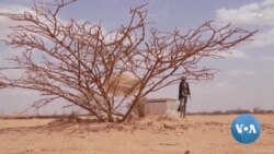 1 million in Somalia set to face hunger amid drought, WFP says 