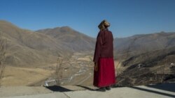 རྒྱ་གཞུང་གི་ཆབ་སྲིད་སློབ་གསོའི་ལྟེ་གནས་ཁང་དུ་བོད་མིར་མནར་གཅོད།