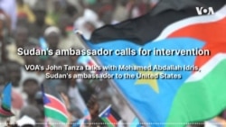 Sudan’s ambassador calls for intervention