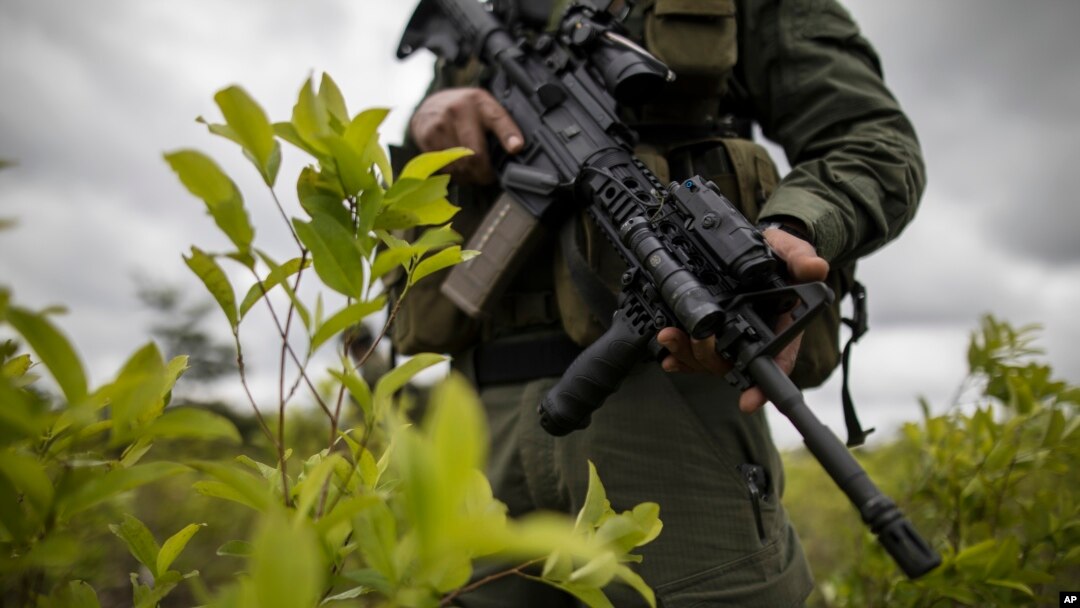 ARCHIVO - En esta fotografía de archivo del 30 de diciembre de 2020, un oficial de policía se encuentra en un campo de coca durante una operación de erradicación manual en Tumaco, suroeste de Colombia.