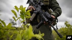 ARCHIVO - En esta fotografía de archivo del 30 de diciembre de 2020, un oficial de policía se encuentra en un campo de coca durante una operación de erradicación manual en Tumaco, suroeste de Colombia.