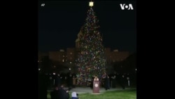 国会圣诞树亮灯仪式