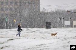 Kristin Matuszak mengajak anjingnya, Charlie, berjalan-jalan di salju, Kamis, 3 Februari 2022, di Dallas. ((Foto: AP)