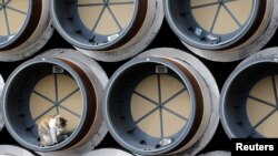 A cat rests among pipes meant to be used for construction in terminated South Stream gas project, stored in the Black Sea port of Varna, Bulgaria, March 27, 2018.
