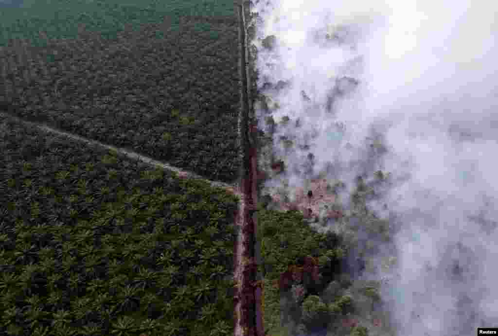 An aerial view of forest fire burning next to oil palm plantation at Kumpeh Ulu district in Muarojambi, Indonesia, in this photo taken by Antara Foto.