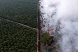 FILE - An aerial view of forest fire burning next to oil palm plantation at Kumpeh Ulu district in Muarojambi, Indonesia, in this photo taken by Antara Foto.