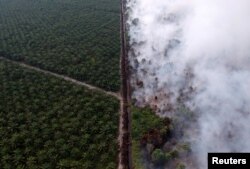 FILE - An aerial view of forest fire burning next to oil palm plantation at Kumpeh Ulu district in Muarojambi, Indonesia, in this photo taken by Antara Foto.